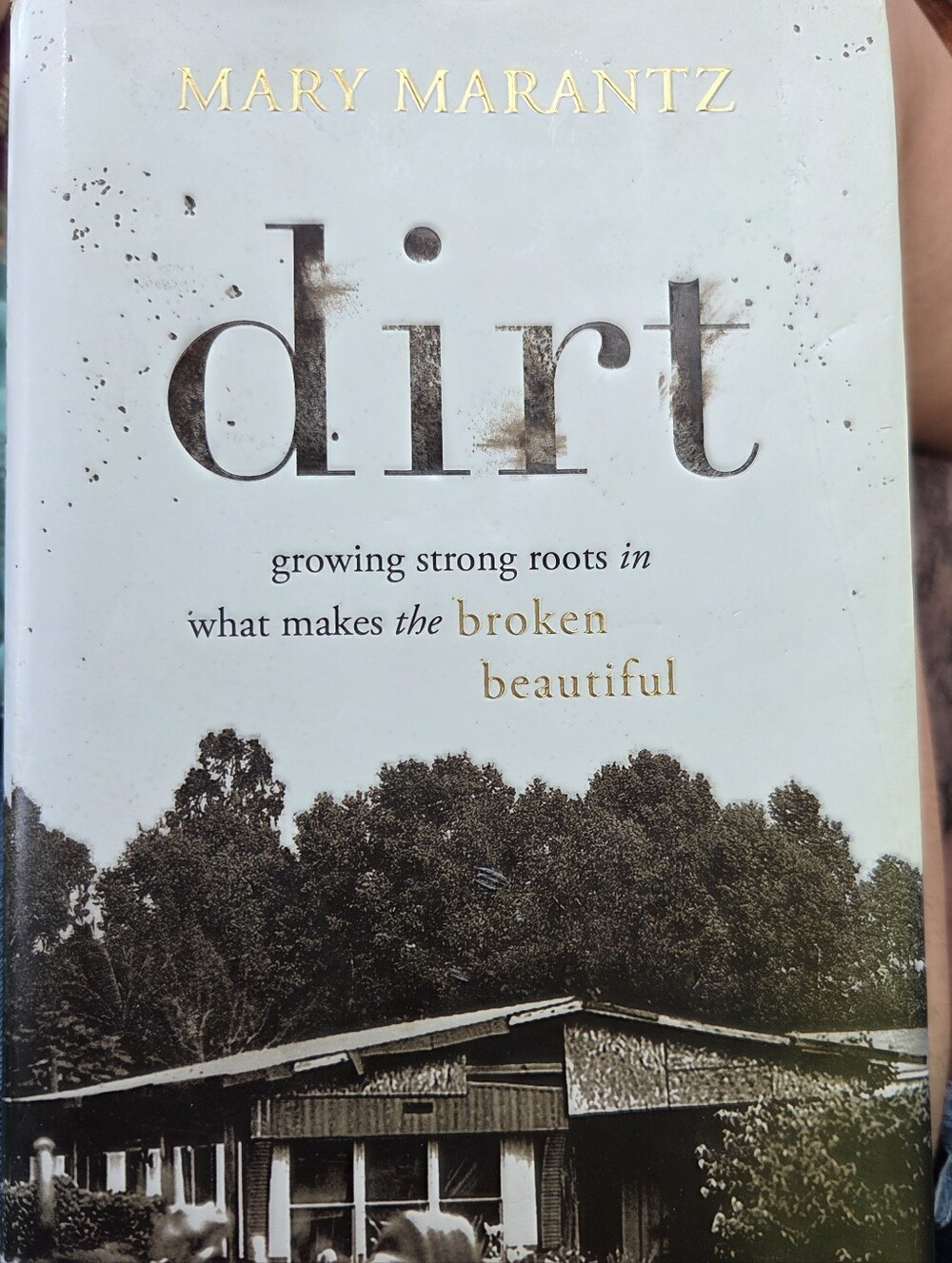 Dirt - Must Read Memoir Book By Mary Marantz